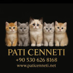 PATİ CENNETİ